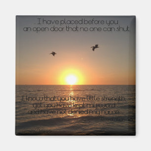 Puerta abierta imán