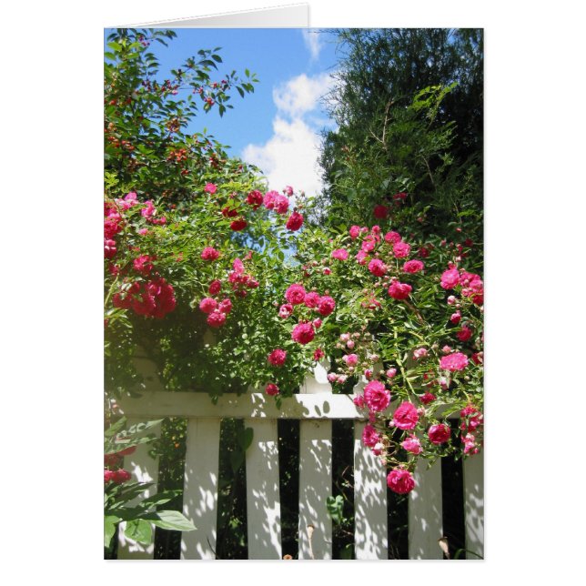 puerta de jardín (Frente)