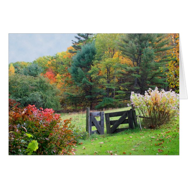 Puerta del cielo: Nuevo Hampshire (Anverso (Horizontal))