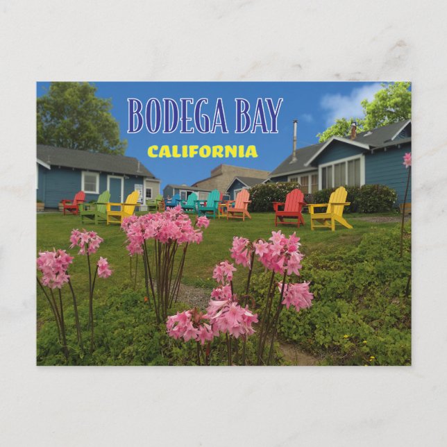 Puerto Bodega Bay en Postal (Anverso)