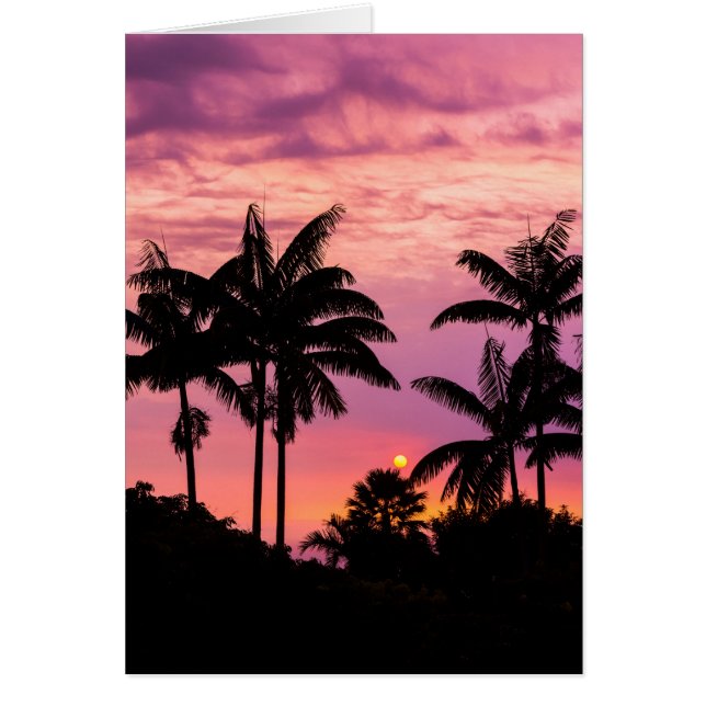 Puesta de sol a través de palmeras (Frente)