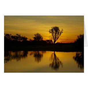 Puesta de sol, Billabong de agua amarilla