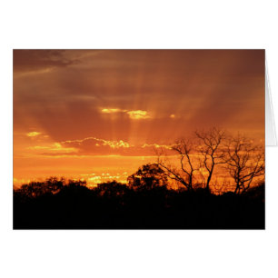 "puesta de sol celestial" por Larry Coressel