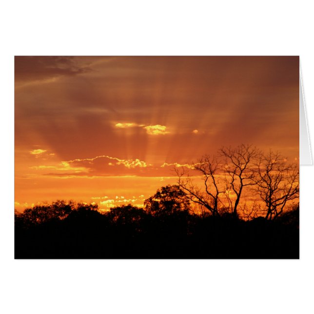 "puesta de sol celestial" por Larry Coressel (Anverso (Horizontal))