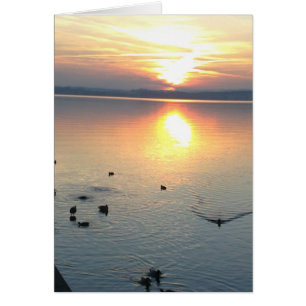 Puesta de sol con patos en el lago, postal, en