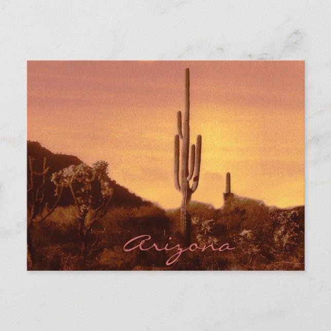 puesta de sol de sonoran con postal de texto (Anverso)