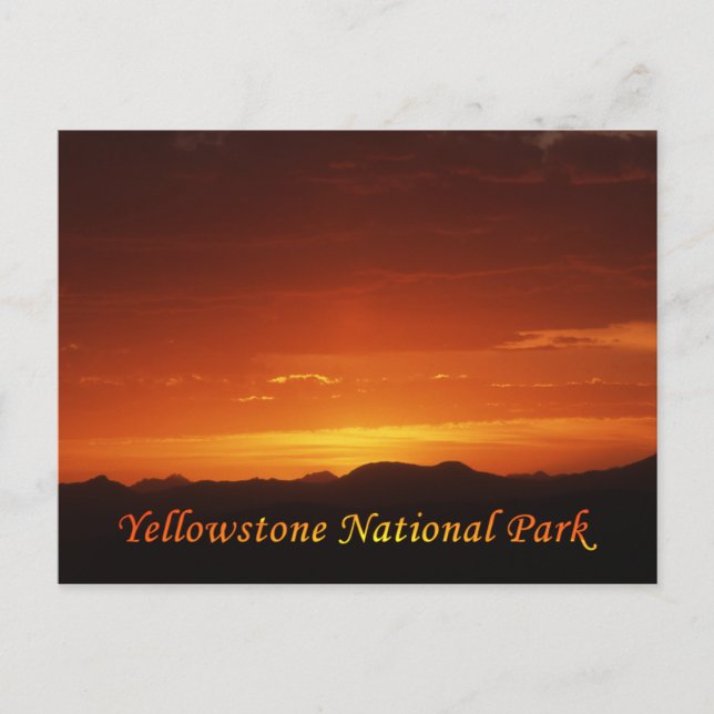 Puesta de sol desde Mt. Washburn Postal (Anverso)