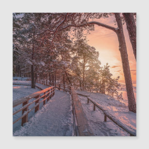 Puesta de sol invernal en bosque de pinos cerca de