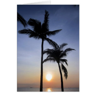 puesta de sol manila de las palmas