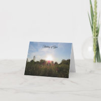 Puesta de sol más allá de los árboles - Tarjeta pe