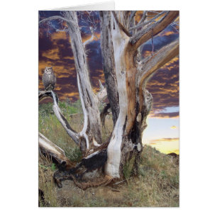 Puesta del sol de Colorado