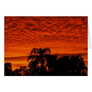 Puesta del sol de la Florida