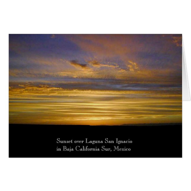 Puesta del sol de la laguna de San Ignacio (Anverso (Horizontal))