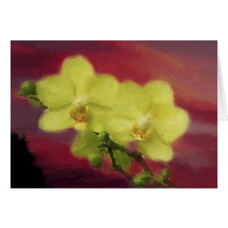 Puesta del sol de la orquídea