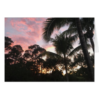 Puesta del sol de la palmera