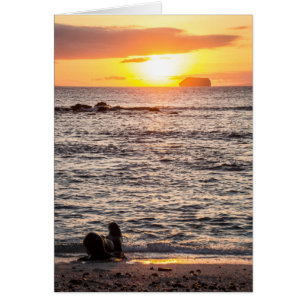 Puesta del sol del islote de Mosquera