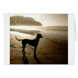 Puesta del sol del perrito de great dane