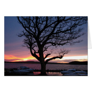 Puesta del sol en el puerto