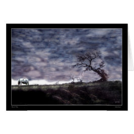 Puesta del sol india