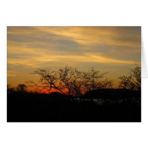 Puesta del sol seca del bosque