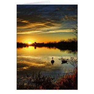 Puesta del sol soñadora