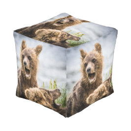 Puf Cubos Grizzly Buscando Su Mamá