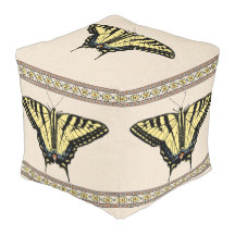 Mariposa de cola de cerda amarilla del suroeste