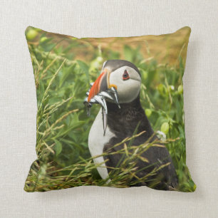 Puffin con almohada mojo americano/cucharón