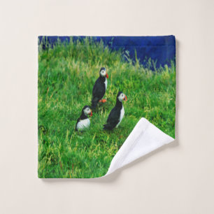 Puffines islandeses en verano