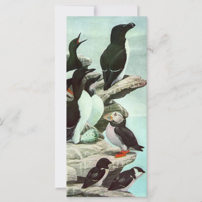Pufins vintage y aves acuáticas de Louis Fuertes (Anverso)