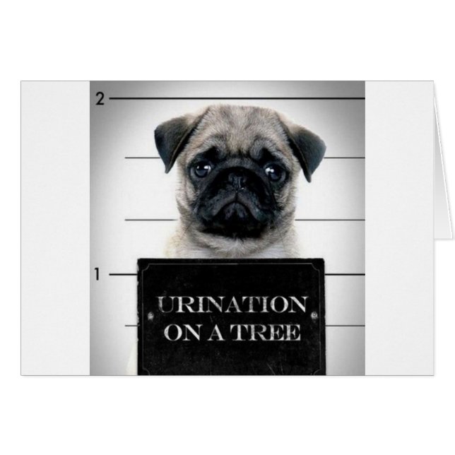 Pug (Anverso (Horizontal))