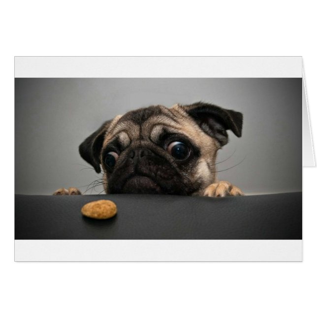 Pug (Anverso (Horizontal))