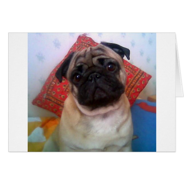 pug 4.png (Anverso (Horizontal))