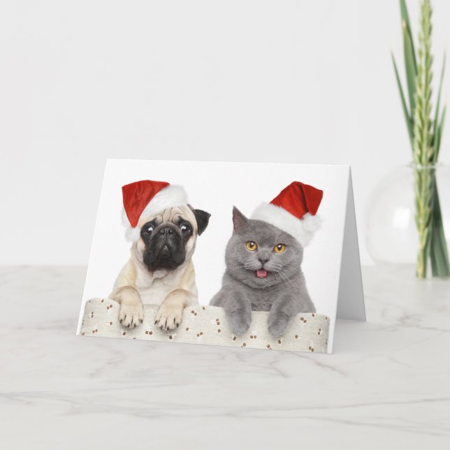 Pug & Cat - Tarjeta de Navidades (Anverso)