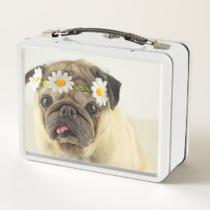 Pug con la corona de margarita