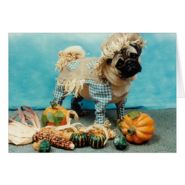 Pug Dog Scarecrow (Anverso (Horizontal))