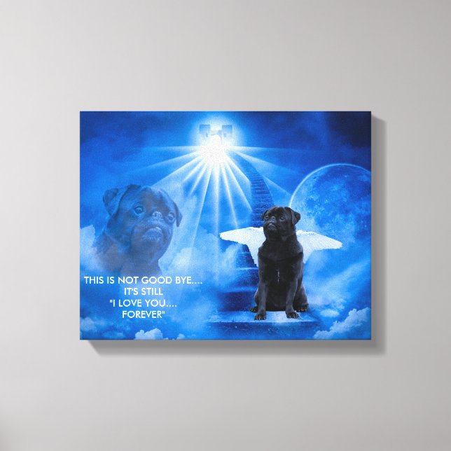 Pug en el cielo como lienzo de solidaridad con el  (Anverso)