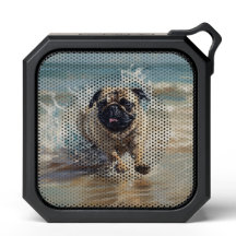 Pug feliz en la playa