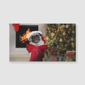 Pug Misha esperando a los Navidades en la mañana