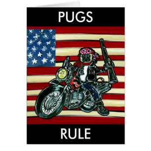 Pug Motero