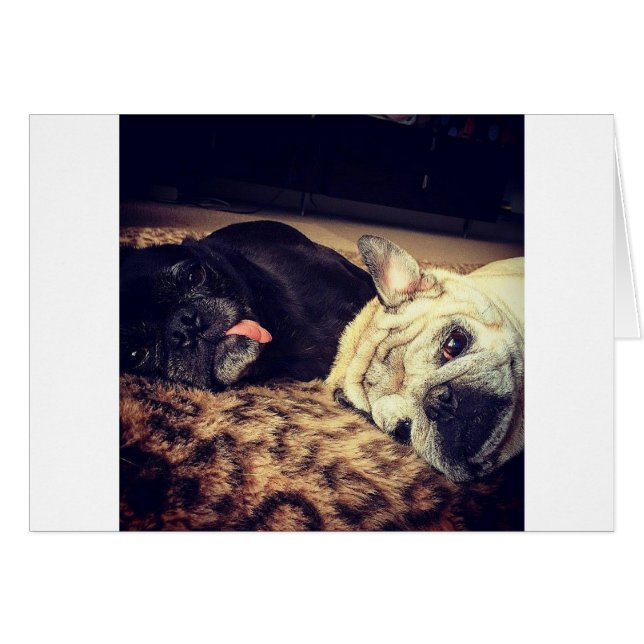 Pug Nap (Anverso (Horizontal))