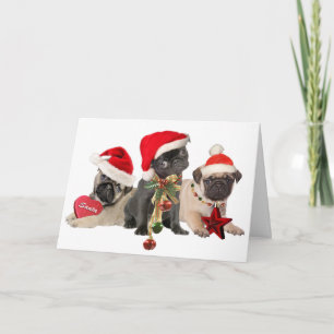 Pug Santa Paws Te desea dulces tarjetas de Navidad