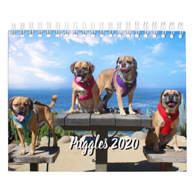 PUGGLE - CALENDARIO 2019 (Tapa)