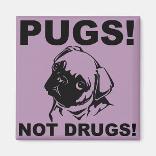 Pugs No Drogas Imán de Nevera Divertido Refrigerad