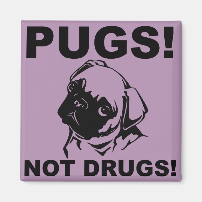 Pugs No Drogas Imán de Nevera Divertido Refrigerad (Frente)
