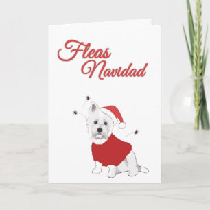 Pulgas Navidad