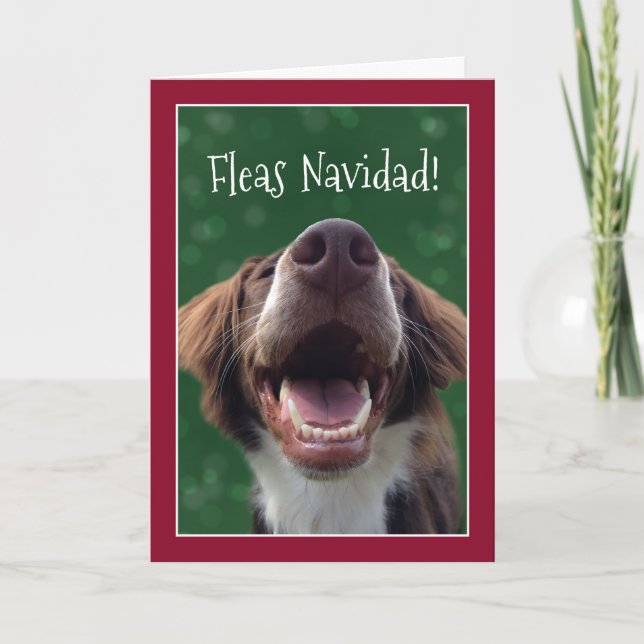 ¡Pulgas Navidad! Perro chistoso en el navidad (Anverso)