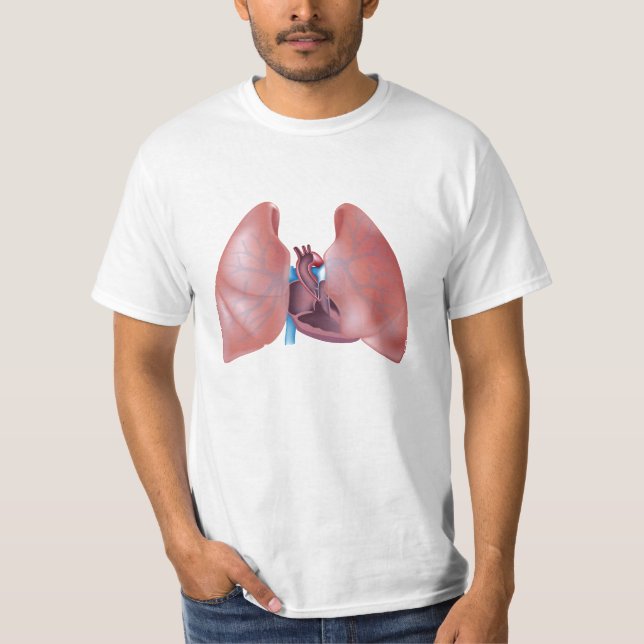 Pulmones y camisa humanos del corazón (Anverso)