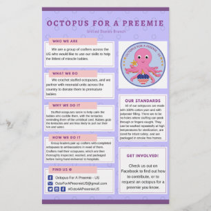 Pulpo de Info Flyer para un EEUU preeminado