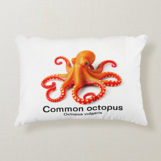 pulpo en una almohada